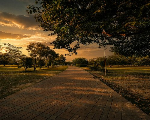 Evening walk in a calm city park